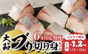 【大和海商】大和ブリの切り身たっぷりセット 6ヶ月定期便 N072-YG0185