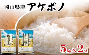 岡山県産 アケボノ 5kg×2袋(計10kg) 米 お米 コメ 白米 精米 国産 岡山 瀬戸内市
