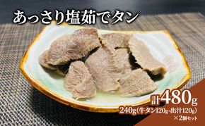 牛タン あっさり塩茹でタン 120g × 2個 出汁 セット タン塩 塩タン 温めるだけ 小分け 牛肉 冷凍配送