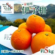 【先行予約】【家庭用】伊予柑 約5kg | 柑橘 みかん 果物 フルーツ 愛媛県産 農家直送　※離島への配送不可　※2027年1月中旬から順次発送予定 IKTAU001
