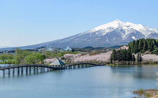 発酵バター使用 サクサクパイ つるのはごろも 15枚入り お菓子 焼菓子 つるパイ 老若男女問 愛される 人気 