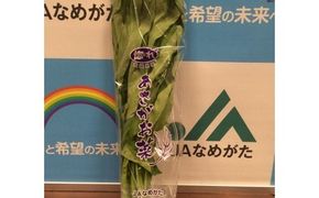 JAなめがたしおさい あさがお菜(クウシンサイ)100g×20袋入｜あさがお菜 クウシンサイ 野菜 サラダ 数量限定 茨城県 行方市(AE-33)