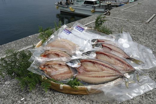 【一本釣り 匠の漁】佐田岬 玉手箱セット 5種×各2枚（計10枚） IKTJ006