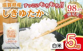 【7年産】すっごいもちもち 「しきゆたか」 白米【5kg】【C002W1】