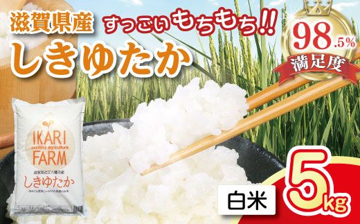 【7年産】すっごいもちもち 「しきゆたか」 白米【5kg】【C002W1】