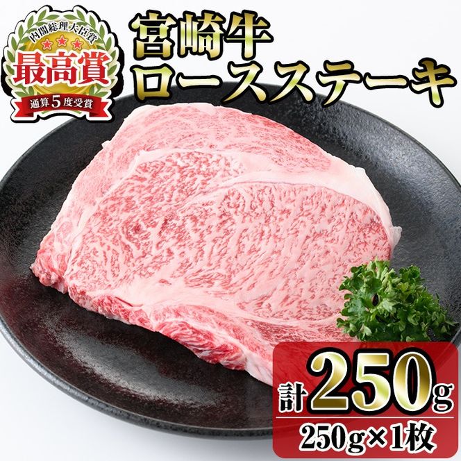 宮崎牛ロースステーキ(250g) お肉 牛肉 黒毛和牛 ブランド和牛 冷凍 国産 焼肉 BBQ ステーキ 【R-88】【ミヤチク】