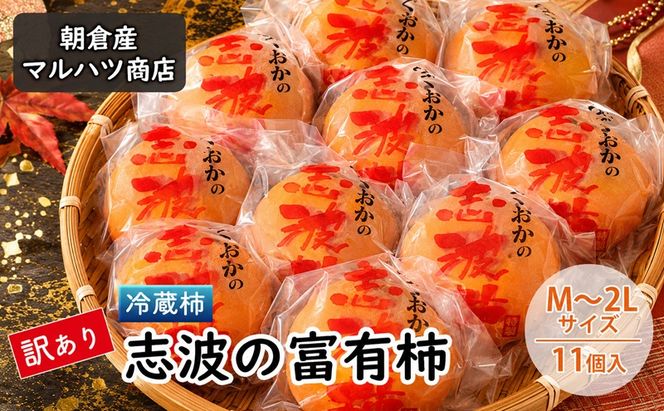 訳あり 柿 冷蔵柿 志波の富有柿 M～2Lサイズ×11個入 マルハツ商店 配送不可：離島 果物類 かき 