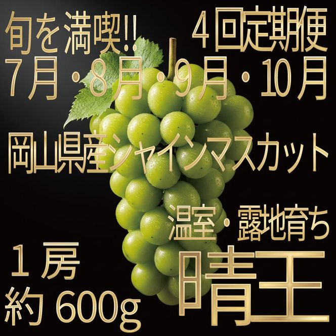 [HS]【定期便全4回】ぶどう先行予約7月・8月・9月・10月発送温室シャインマスカット晴王1房約600g ブドウ 葡萄  岡山県産 国産 フルーツ 果物 ギフト デザート 食後 酸味が少ない 産地直送