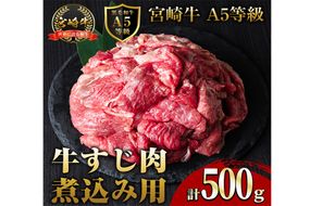 A5 等級 宮崎牛 すじ肉 煮込み用(500g) 黒毛和牛 牛スジ肉 牛 牛肉 肉 にく 牛すじ煮込み 煮込み どて煮 カレー ビーフシチュー おでん スープ 冷凍 個包装【OT-12】【KNOT合同会社】