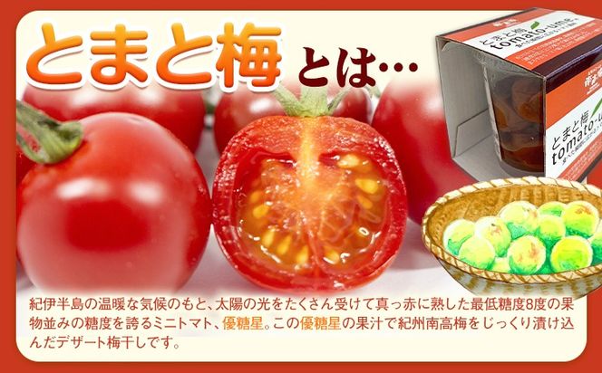 南高梅 tomato-ume とまと 梅 100g×4 有限会社プラム《30日以内に出荷予定(土日祝除く)》和歌山県 日高川町 送料無料 梅 うめ ウメ 南高梅 紀州 トマト梅 送料無料---wshg_plm3_30d_26_10000_5---