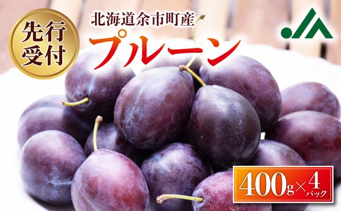 【2026年9月上旬発送分先行予約】プルーン 400g×4パック甘くてジューシー 余市産 生プルーン 国産 老化防止 鉄分 スムージー ジャム 冷蔵 小分け パック フルーツ 果物 季節限定 お取り寄せ 北海道 余市町 _Y010-0526