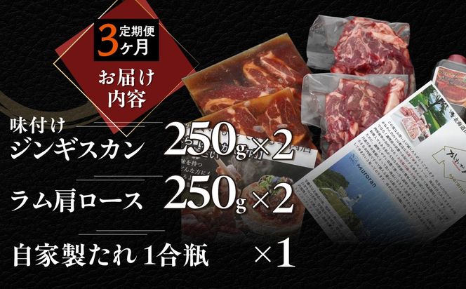 【3ヶ月定期便】味付けジンギスカンとラム肩ロース（各250g×2）セット MROA064