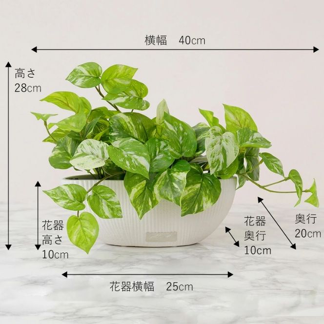 アートフラワー エミリオ・ロバ ポトスL TTTTA-05120