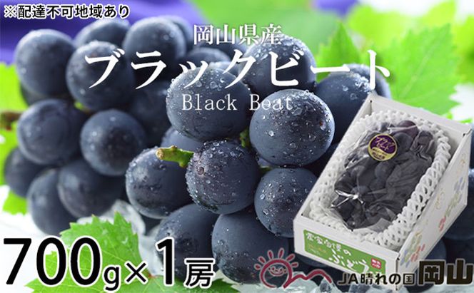 ぶどう 2026年 先行予約 ブラックビート 約700g×1房 ブドウ 葡萄  岡山県産 国産 フルーツ 果物 ギフト 岡山のブドウ デザート 食べ物 日本産 