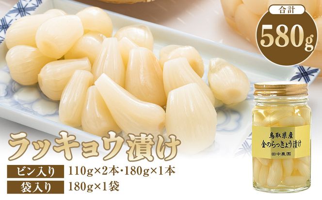 413.ラッキョウ漬け　（ビン入り：110g×2本・180g×1本　袋入り：180g×1袋） 313726_AP003
