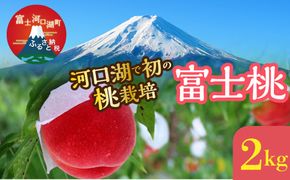 ＜26年発送先行予約＞河口湖で初の桃栽培！オリジナルブランド富士桃(約２キロ) FAH010