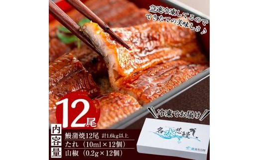 【数量限定】鹿児島県産うなぎ蒲焼 名水慈鰻 12尾(1尾約120g以上)＜計約1.6kg以上＞ f2-003
