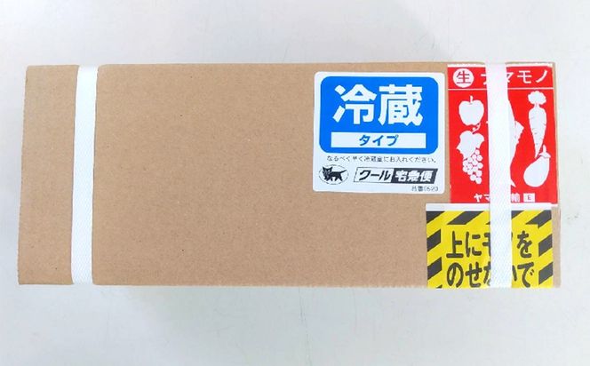 【2027年発送】大宜味村産 アーウィン種マンゴー 秀品1kg以上