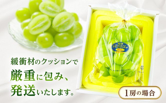 ぶどう 2026年 先行予約【2回定期便】 プレミアムシャインマスカット 晴王 1房 約700g 人気 岡山県船穂産 赤秀品 種無し 皮ごと食べる みずみずしい9月10月お届け ハレノフルーツ