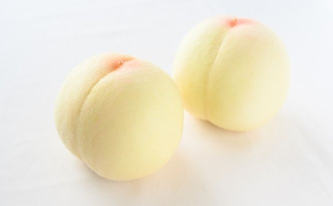 桃 ぶどう 【2026年 早期受付】 フルーツ詰め合わせ シャインマスカット 晴王 1房 ・ 白桃 2個 もも ブドウ 葡萄 岡山県産 国産 フルーツ 果物 ギフト [№5735-2085]