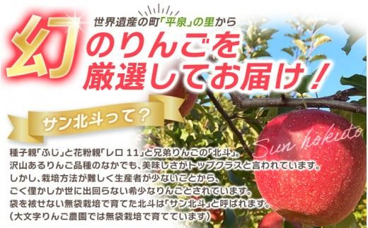 【令和7年度分予約受付】大文字りんご園 サン北斗 サン北斗 約5kg (18～20玉) 【2025年10月下旬頃より順次発送】/ 樹上完熟 りんご リンゴ 林檎 果物 くだもの フルーツ 甘い 旬 産地直送 予約 先行予約【dma513-sh-5A】