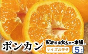  ポンカン 5kg サイズおまかせ / ぽんかん 蜜柑 みかん 柑橘 果物 フルーツ 紀伊国屋文左衛門本舗 ※2027年1月下旬～2月下旬頃順次発送予定(お届け日指定不可) 【kmtb008-r-5】