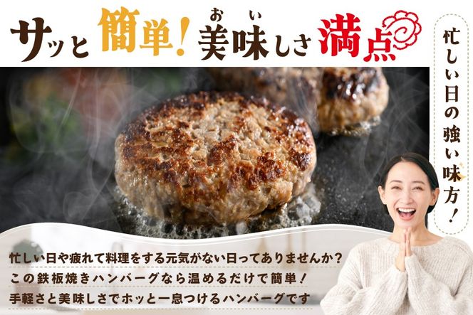 北海道 別海町産 別海牛入り合挽ハンバーグ（80g×12個）×2箱【NB002JB00】