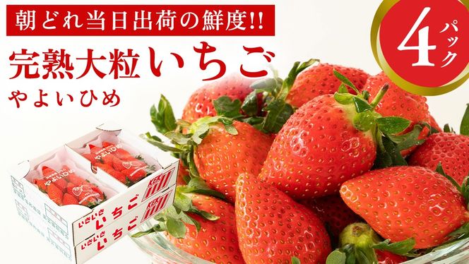 y錧}szn 悢Ђ 4pbN s\ 嗱 C`S   t[c ʕ [AF059ci]