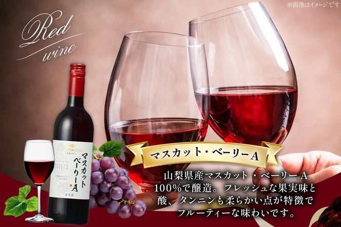 ワイン 赤 コンチネンタル マスカット・ベーリーA 750ml×2本 [サン.フーズ 山梨県 韮崎市 20743138] 赤ワイン 日本ワイン お酒 アルコール