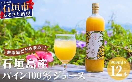 石垣島産パイン100％ジュース12本セット E-13-1