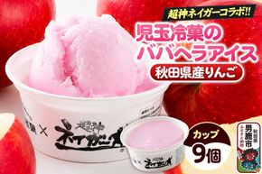 児玉冷菓のババヘラアイス×超神ネイガー コラボアイス【秋田県産りんご9個】 秋田県 男鹿市 児玉冷菓 [秋田 児玉冷菓のババヘラアイス シャーベット 秋田の味 パラソルの下でババが盛る児玉冷菓のババヘラアイスをお家で再現 フルーツ味 ソルベ]|23_kdm-160901