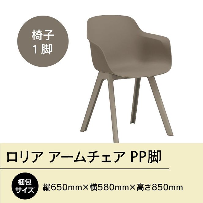 椅子 おしゃれ ロリア アームチェア ウォームグレー PP脚 P3003-1WJ [アダル 福岡県 宇美町 um40azo830047] いす イス オシャレ ベンチ 家具 インテリア グレー