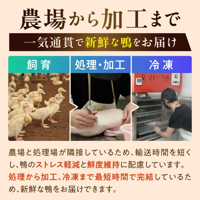紀州鴨セット（ ローススライス300g  つくね200g  ソーセージ100g ）※到着希望日（時期）指定不可_AK6007n