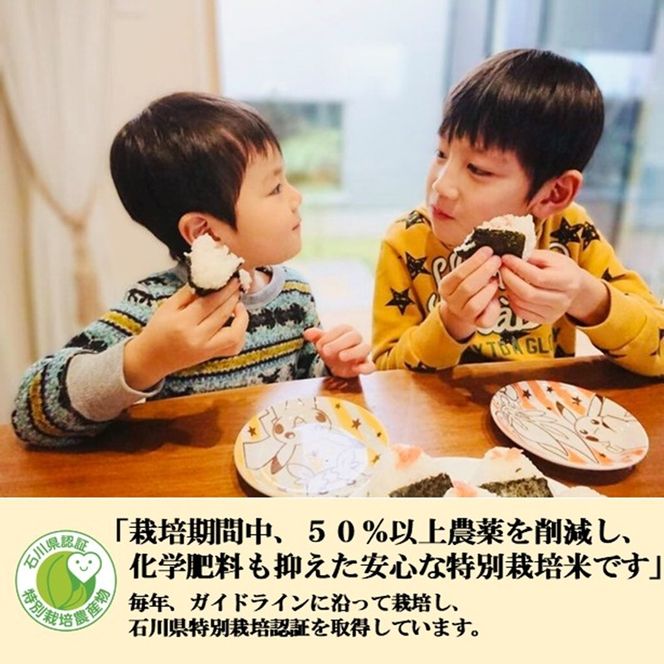 【日本農業賞大賞】【定期便5カ月連続】特別栽培米コシヒカリ3kg精白米 お米 ライス ご飯 主食 おにぎり お弁当 石川県産 能美市産 産地直送 5回 