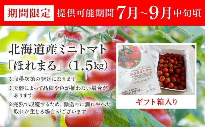 ＜先行予約＞ミニトマト ほれまる 1.5kg【ffk-001】北海道 伊達市 野菜 新鮮 ふるさと納税 送料無料
