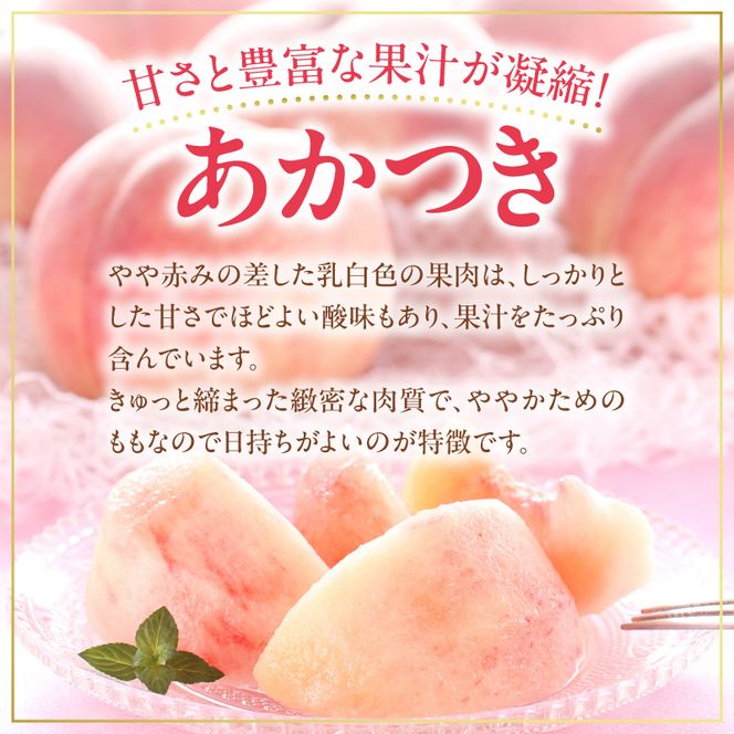 【先行予約：2026年8月中旬以降発送】フルーツ王国余市産「桃」 2kg【余市ふるさと納税推進センター】_Y160-0002