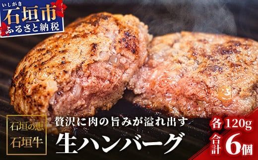 【産地直送】石垣の恵 石垣牛 生ハンバーグ6個【合計720g】【日本最南端の黒毛和牛】KB-101