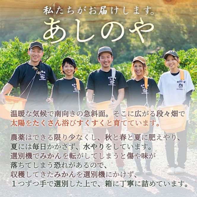 【2027年先行予約】和歌山県産 ネーブルオレンジ 【訳あり 家庭用】3kg サイズ混合【まごころ手選別】_ZE6443