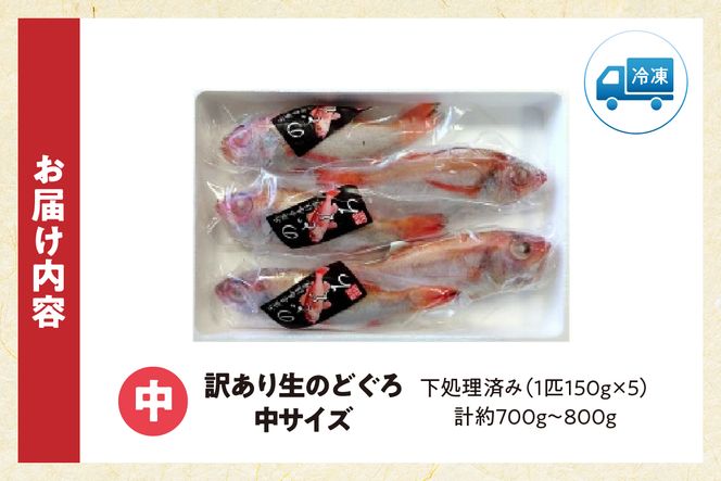 【兵庫県香住産 処理済 のどぐろ中5匹 1匹約150g前後 計約700～800g 冷凍】令和8年3月下旬以降、順次発送予定 日本海 鮮度抜群 生冷凍 急速冷凍 白身のトロ ノドグロ 国産 産地直送 兵庫県 香美町 香住 柴山 山陰 大人気 おすすめ 宿院商店 33-30
