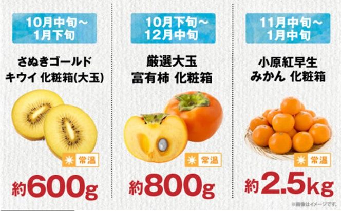 【ALL化粧箱】【12回毎月お届け】高松市自慢のフルーツ定期便【M】 372013_T006-777J