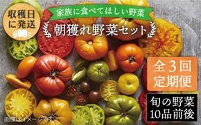 【全3回定期便】【福岡県 糸島産】朝採れ 野菜 セット（10品前後) 《糸島》【オーガニックナガミツファーム】 [AGE006] 野菜セット 野菜 やさい サラダ 詰め合わせ トマト とまと 野菜野菜セット 野菜やさい 野菜サラダ 野菜詰め合わせ 野菜トマト 野菜とまと 野菜ベビーリーフ 野菜水菜 野菜ハーブ 野菜オクラ 野菜人参 野菜にんじん 野菜ニンジン 野菜ほうれん草 野菜クレソン 野菜かぼちゃ 野菜カボチャ 野菜じゃがいも 野菜玉ねぎ