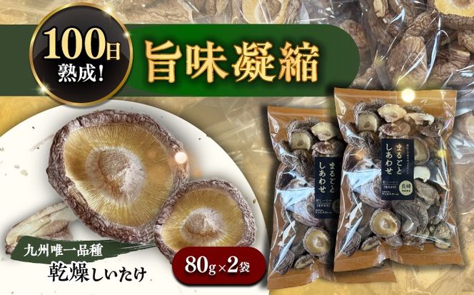乾燥しいたけ 80g 2袋 計160g  / きのこ キノコ 茸 シイタケ  / 南島原市 / サンエスファーム[SBX004]