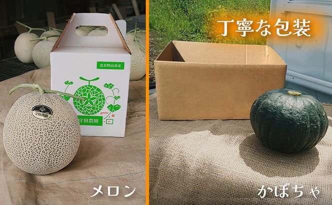 【定期便全2回 夏秋リレー】[2026年7～10月発送] 北海道富良野産 特秀品メロン 2kg1玉×2箱 計4kg＆ 特濃こふき かぼちゃ 5kg×2箱｜北海道 富良野市 高糖度 メロン 黒皮かぼちゃ 濃厚 野菜 果物 フルーツ 贈答用 ギフト