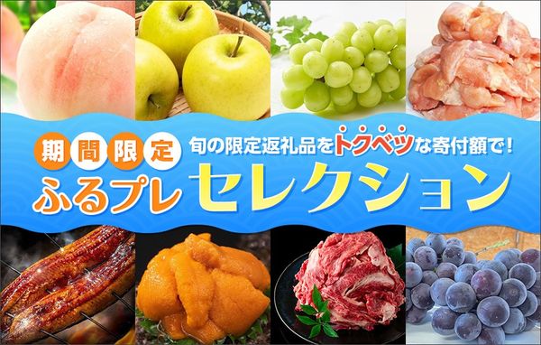 【2026年7月】ふるプレセレクション～オリジナル限定返礼品特集