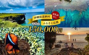 【返礼品なし】沖縄県恩納村ふるさと応援寄附金 150000円