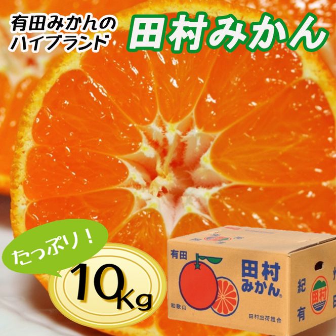 【先行予約】【秀品】田村みかん 和歌山有田 約10kg