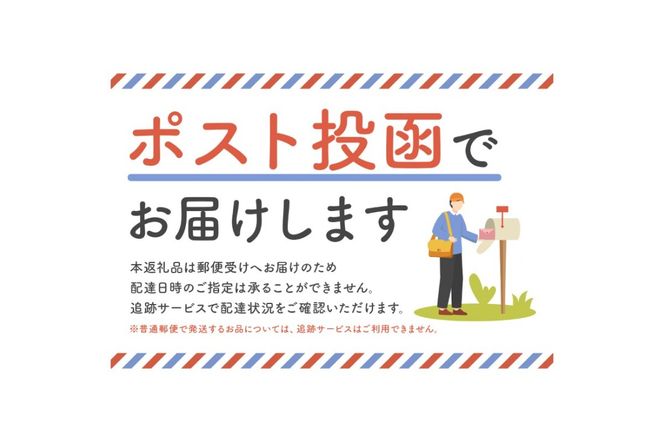 「まじかるピンチⅡ」 リング付き 2個セット　／　洗濯バサミ 便利グッズ ステンレス製【0007-019】