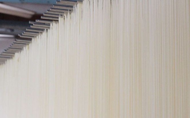 【4代目 麺匠 高橋優】 極細 そうめん 50g×16束 800g / 南島原市 / 高橋正製麺所 [SCG001]