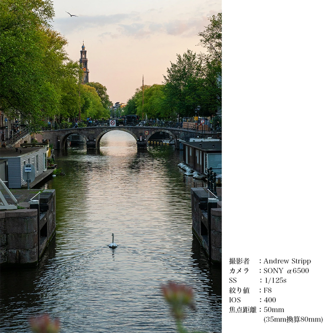 SIGMA 18-50mm F2.8 DC DN｜Contemporary【ソニーEマウント】
