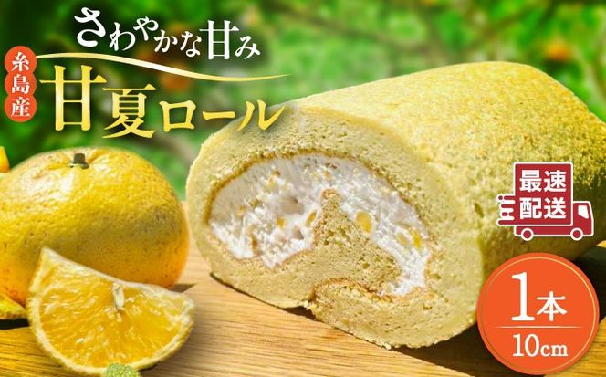 糸島甘夏みかんロールケーキ 1本 糸島市 / わかまつ農園[AHB064]